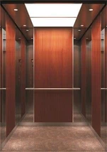 Wood Style Home Elevator